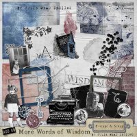 More Words of Wisdom Add-On Pack by Julie Mead