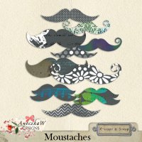 Moustaches by AneczkaW