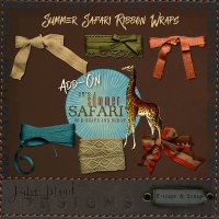 A Summer Safari Ribbon Wraps by Julie Mead