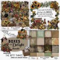 Boxes of Delight Bundle by Rosie's Designs