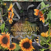 Sunflower Impact by Julie Mead
