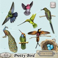 Pretty Bird CU by The Busy Elf