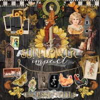 Sunflower Impact Essentials by Julie Mead