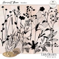 Harvest Moon Stamp Brushes by Daydream Designs