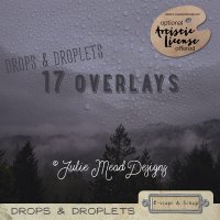 Drops and Droplets Set 1 by Julie Mead