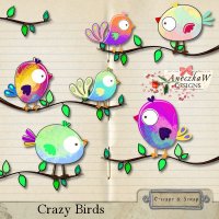 Crazy Birds by AneczkaW