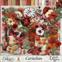 Carnelian Kit by Rosie's Designs