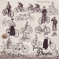 Vintage Bicycles by Julie Mead