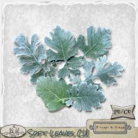 Soft Leaves-CU by The Busy Elf