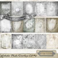Artistic Photo Overlays Set 8 PRO by Julie Mead
