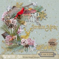 Winter Joy by Julie Mead