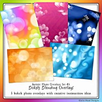 Artistic Photo Overlays Set 4 by Julie Mead