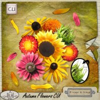 Autumn Flowers CU by The Busy Elf