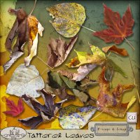 Tattered Leaves CU by The Busy Elf