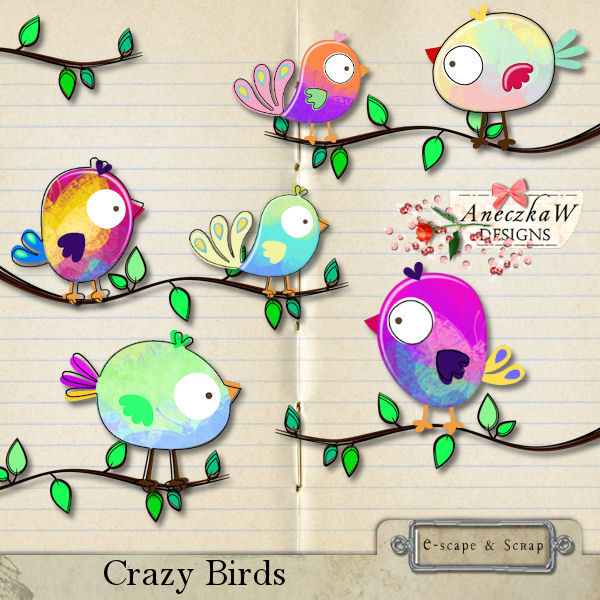 Crazy Birds by AneczkaW - Click Image to Close