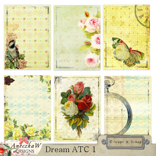 Dream ATC 1 by AneczkaW - Click Image to Close