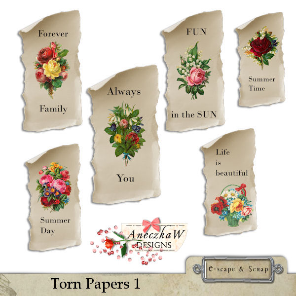 Torn papers 1 by AneczkaW - Click Image to Close
