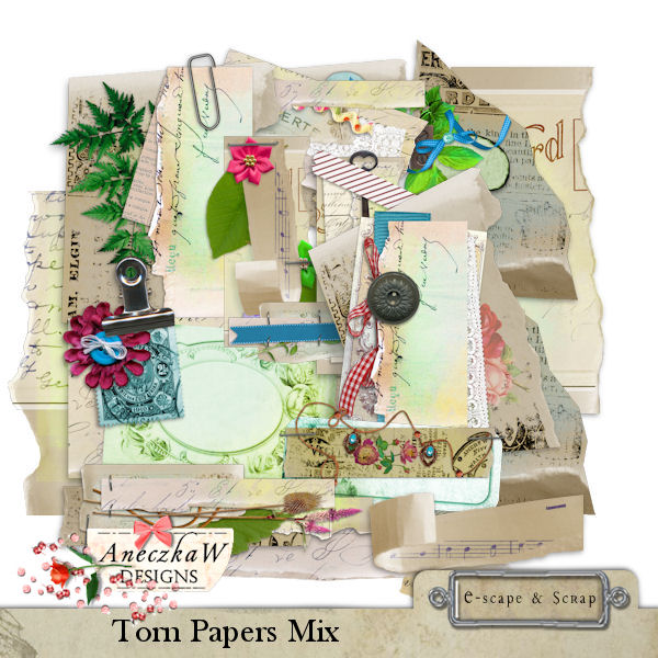 Torn Papers Mix by AneczkaW - Click Image to Close