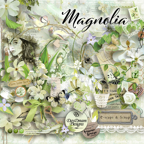 Magnolia Collection by Daydream Designs - Click Image to Close