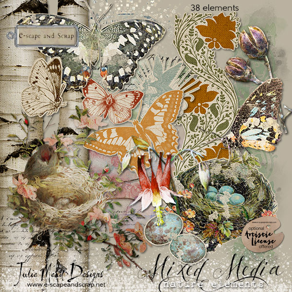 Mixed Media Nature Elements by Julie Mead - Click Image to Close