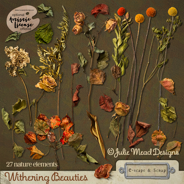 Withering Beauties by Julie Mead - Click Image to Close