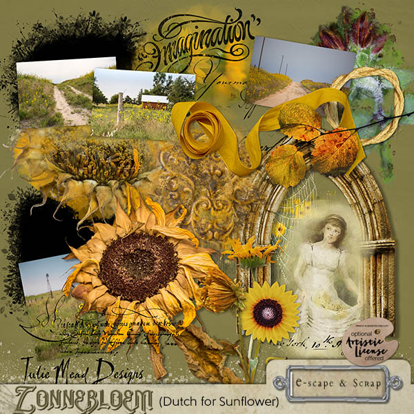 Zonnebloem -Dutch for Sunflower by Julie Mead - Click Image to Close