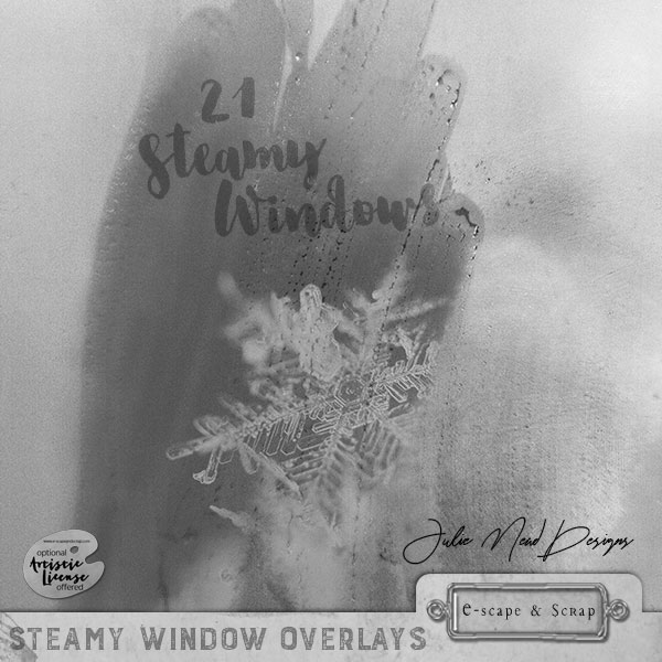 Steamy Window Overlays by Julie Mead - Click Image to Close