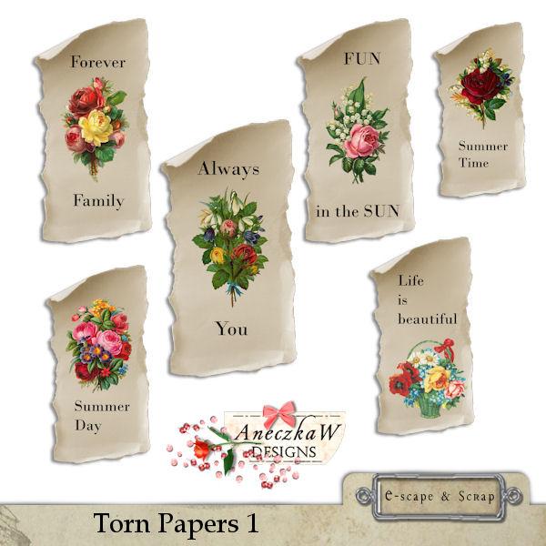 Torn papers 1