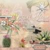 Desert Bloom - A Nifty Collab
