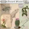 Desert Bloom - A Nifty Collab