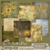 Zonnebloem -Dutch for Sunflower by Julie Mead