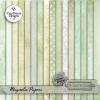 Magnolia Collection by Daydream Designs