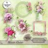 Blossom Collection by Daydream Designs