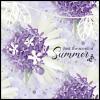 The Scent Of Summer by Daydream Designs
