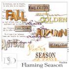  Flaming Season Tags Wordart by DsDesign 