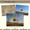 Artistic Photo Overlays Set 5 by Julie Mead