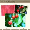 Artistic Photo Overlays Set 5 by Julie Mead