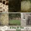 A Day At The Zoo by The Busy Elf