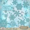 Snowflakes CU Brushes by The Busy Elf