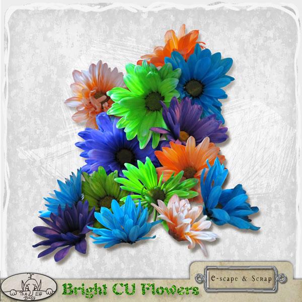 Bright CU Flowers by The Busy Elf
