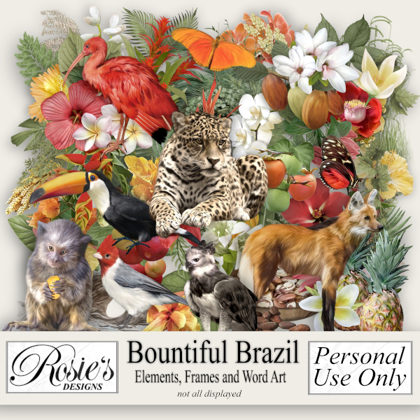 Bountiful Brazil Elements by Rosie's Designs - Click Image to Close