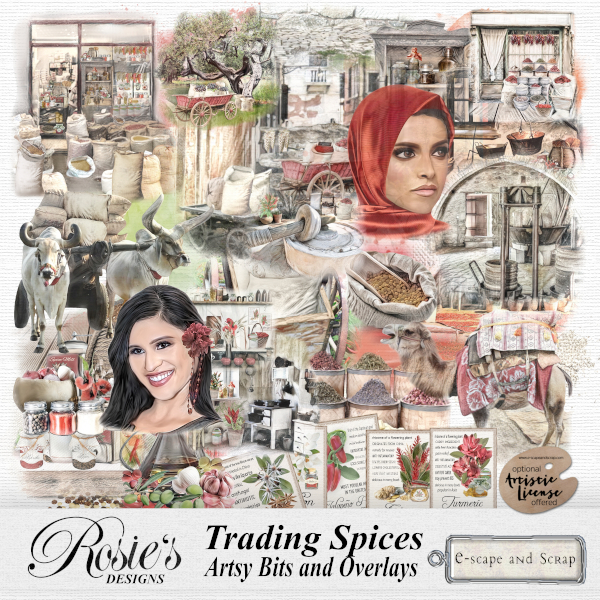 Trading Spices Artsy Bits by Rosie's Designs - Click Image to Close