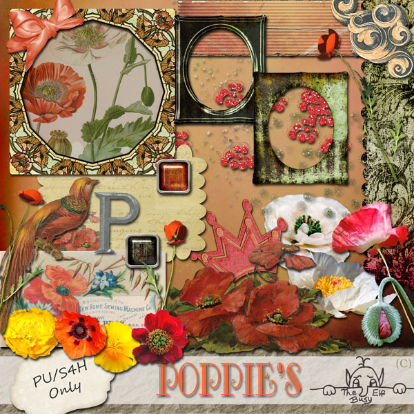 Poppies by The Busy Elf - Click Image to Close