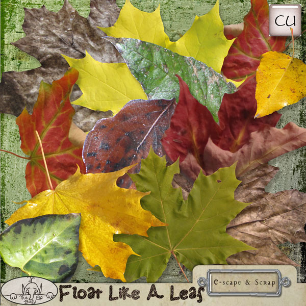 Float Like A Leaf CU by The Busy Elf - Click Image to Close
