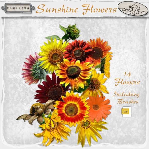 Sun Shine Flowers and Brushes CU by The Busy Elf - Click Image to Close